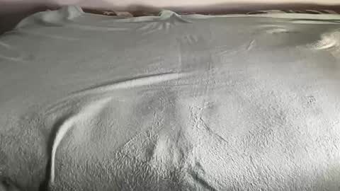 Snapshot of bestdick1991 chatting on 11, 1, 2026 BEST online show from 11, 1, 2026