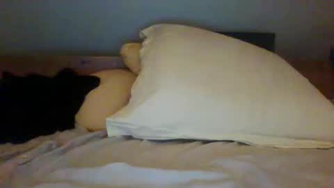 bibipheuck online show from 13, 11, 2025