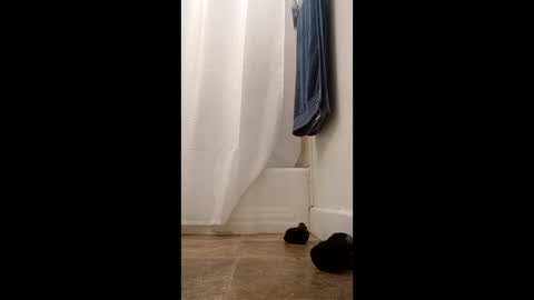 bibottom68942 online show from 22, 12, 2025