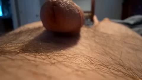 biff768816 online show from 29, 9, 2025