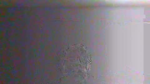 bigalnoone online show from 26, 3, 2026