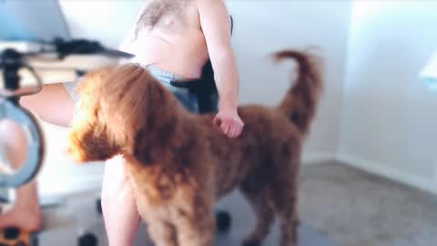 Snapshot of bigbadwolfbulge chatting on 25, 2, 2026 Alcide Herveaux online show from 25, 2, 2026