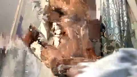 bigblackcockmello online show from 19, 12, 2024