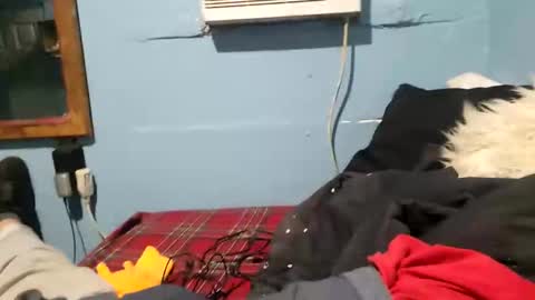 bigblu659 online show from 9, 1, 2025