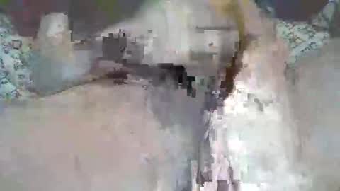 Snapshot of bigbr0wnc0ck69 chatting on 9, 9, 2025 bigbr0wnc0ck69 online show from 9, 9, 2025