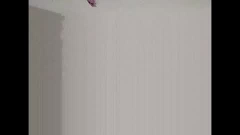 bigd23994 online show from 29, 3, 2026