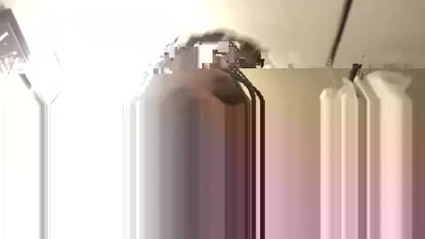 Big Daddy 1988 S online show from 3, 11, 2025