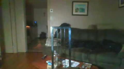 bigdeer581917471 online show from 1, 2, 2025