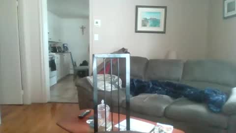 bigdeer581917471 online show from 2, 2, 2025