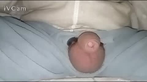 Big online show from 30, 1, 2025