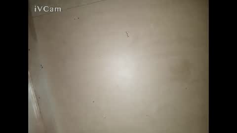 Big online show from 13, 3, 2026