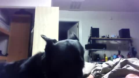 Snapshot of bigdickdaddy7201979564868 chatting on 19, 6, 2026 bigdickdaddy7201979564868 online show from 19, 6, 2026