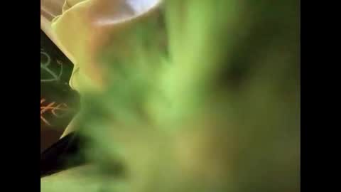 bigdickguy69690 online show from 22, 2, 2025