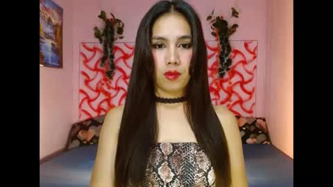 Snapshot of bigdickmistress4u chatting on 9, 3, 2025 bigdickmistress4u online show from 9, 3, 2025