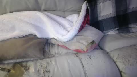 bigdicktrannynicole online show from 21, 1, 2025