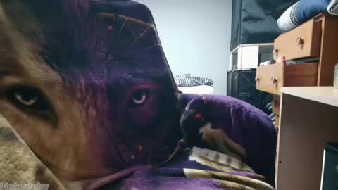 George Forest Dickyduby on all Socials online show from 12, 11, 2025