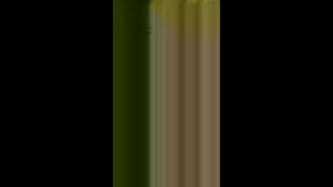 bigdog9thick online show from 3, 4, 2026