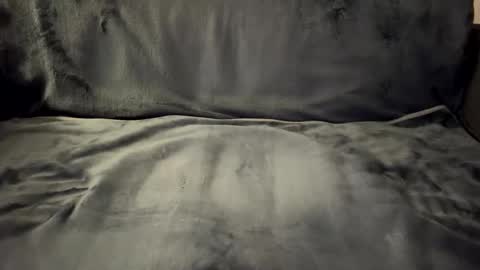 bigdoghandlerofficial online show from 8, 2, 2026