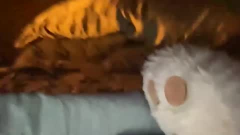 biggahhdihhh online show from 9, 4, 2026