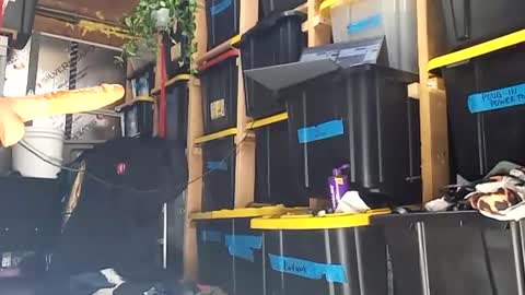 bigmanaround9 online show from 15, 12, 2025