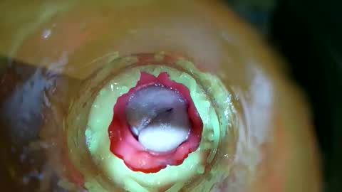 bigmoneycorey online show from 14, 3, 2026