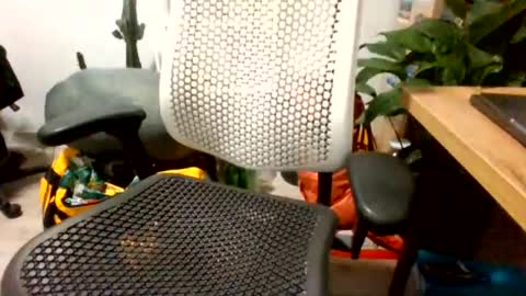 Snapshot of bigpolishdick12345 chatting on 24, 6, 2026 bigpolishdick12345 online show from 24, 6, 2026
