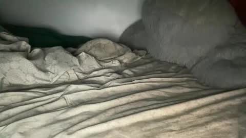 Bigwebone online show from 28, 3, 2026