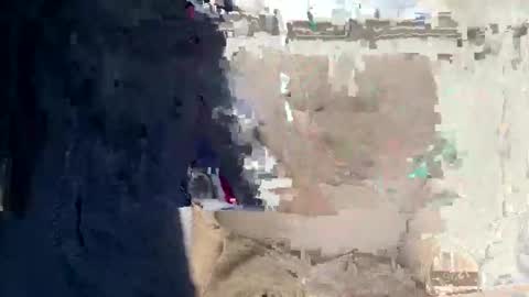 Will Wallace online show from 24, 10, 2025