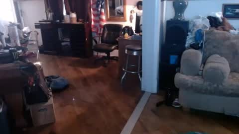Snapshot of bigwoodman831 chatting on 17, 7, 2026 bigwoodman831 online show from 17, 7, 2026