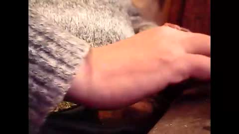 Snapshot of bilco03 chatting on 20, 11, 2025 bilco03 online show from 20, 11, 2025