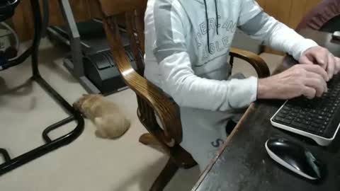 billy471 online show from 23, 1, 2025