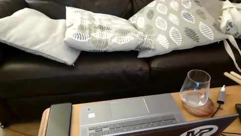 Snapshot of bindmedown chatting on 7, 2, 2025 bindmedown online show from 7, 2, 2025