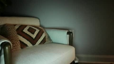 bisfurbear online show from 27, 2, 2026