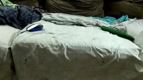 Snapshot of bismalldick679082 chatting on 7, 12, 2024 boyslave online show from 7, 12, 2024