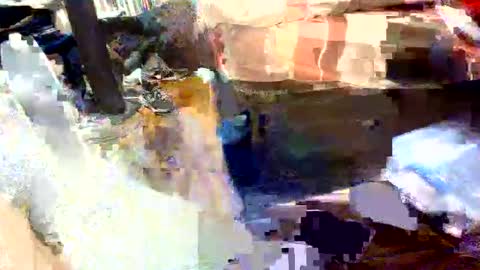 bjlonely7 online show from 14, 5, 2026