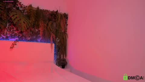 Jenny online show from 12, 12, 2024