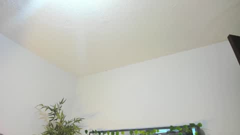 Snapshot of black_rose02 chatting on 31, 1, 2025 B L A C K R O S E online show from 31, 1, 2025