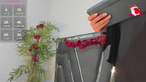 Snapshot of black_rose02 chatting on 20, 2, 2025 B L A C K R O S E online show from 20, 2, 2025