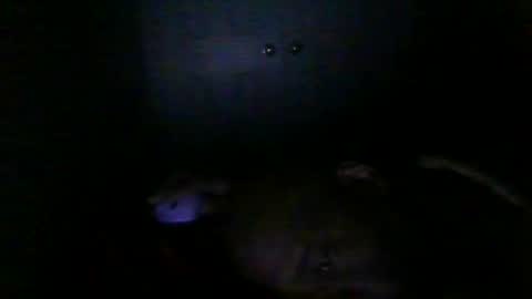 blackteddybear online show from 23, 2, 2026