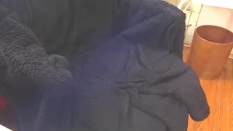 Aqua online show from 18, 2, 2025