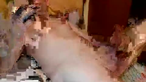 Snapshot of blagoy07 chatting on 15, 12, 2025 blagoy07 online show from 15, 12, 2025