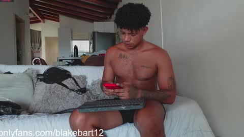 Snapshot of blakemate chatting on 18, 1, 2025 BLAKE BART Help us reach 100 likes online show from 18, 1, 2025