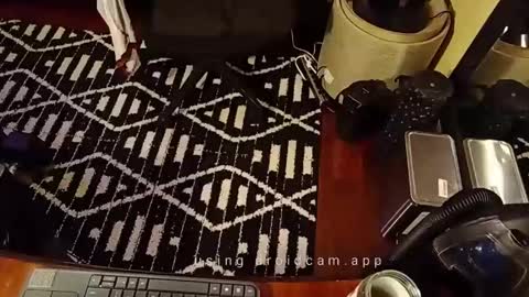 Blackjag00 online show from 19, 2, 2025