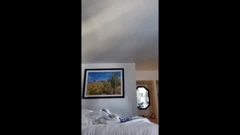 blue17562 online show from 12, 4, 2026