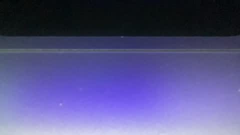 Snapshot of bluuuuuuub chatting on 29, 12, 2024 bluuuuuuub online show from 29, 12, 2024