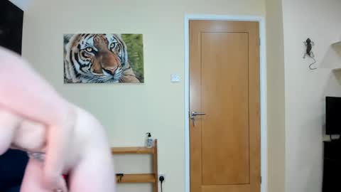 to see lou offline  online show from 7, 12, 2024