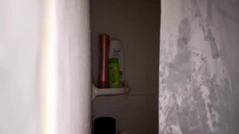 bobfish663 online show from 31, 1, 2026