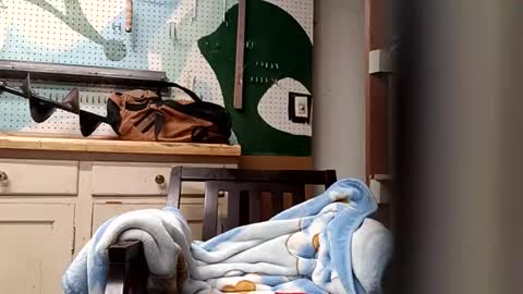 bobmarleybd1420 online show from 11, 4, 2026