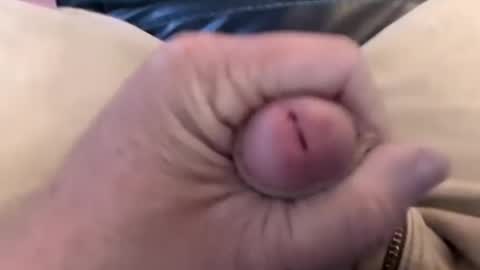 bobrossisalive online show from 14, 10, 2025