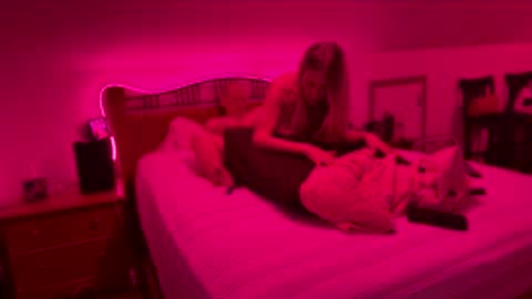 Snapshot of bodiddly64 chatting on 15, 2, 2026 bodiddly64 online show from 15, 2, 2026